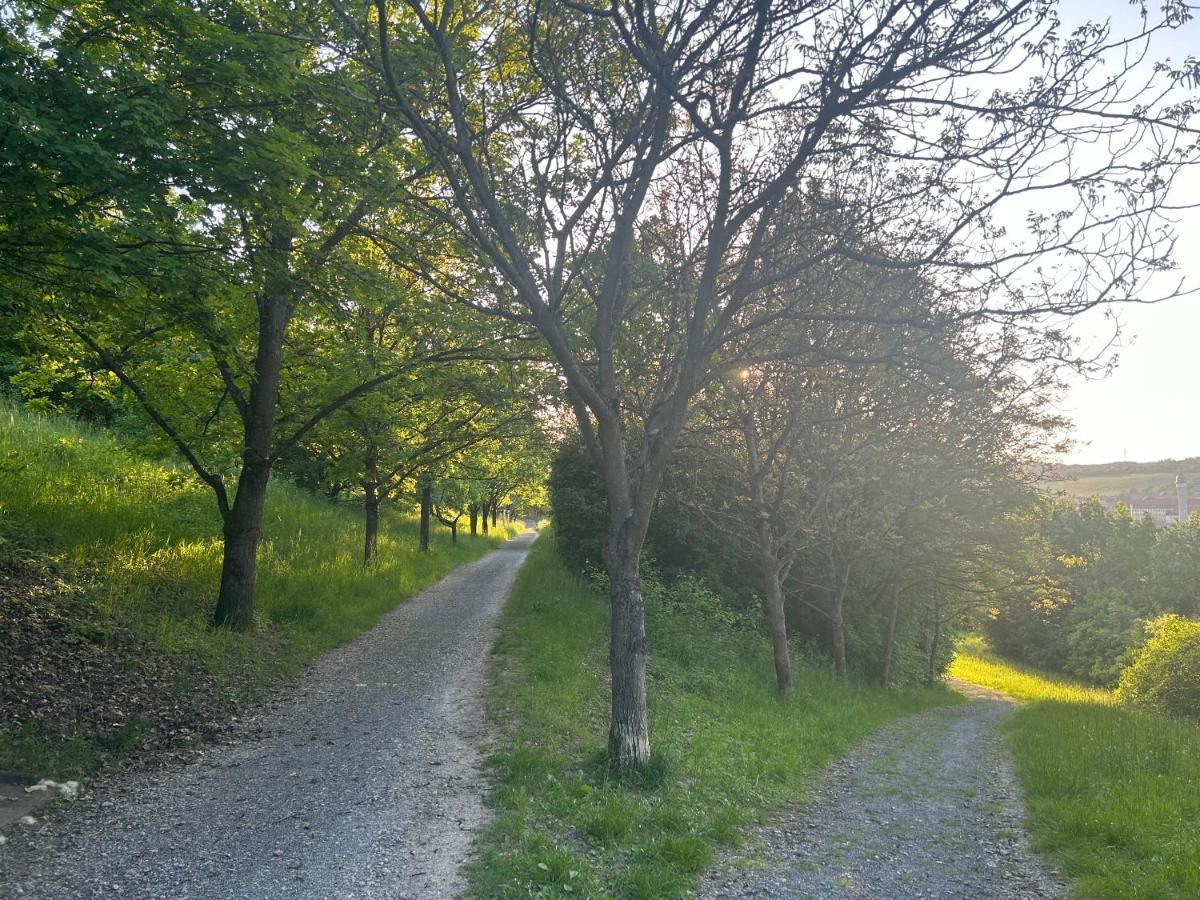 Dnd Stadtoase I Park I Workstation I Netflix I Parken I Kaffee I Waschmaschine I Trockner I Xbox Würzburg Buitenkant foto